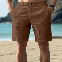 Heston | Shorts in entspannter Passform in Braun