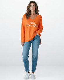 Pullover für Damen mit V-Ausschnitt und ohne elastische Abschlüsse – in Übergröße in Orange