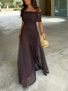 Dainia – Ein-Schulter-Maxikleid Aus Netz in Braun